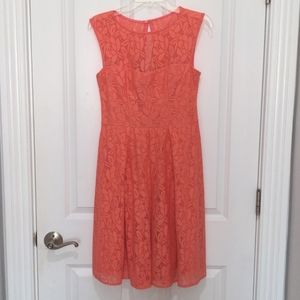 Lacey floral knee length dress.